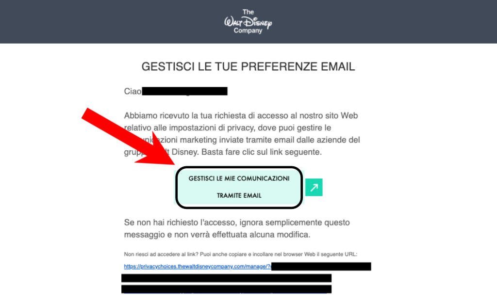 Come eliminare un account Disney Plus 7