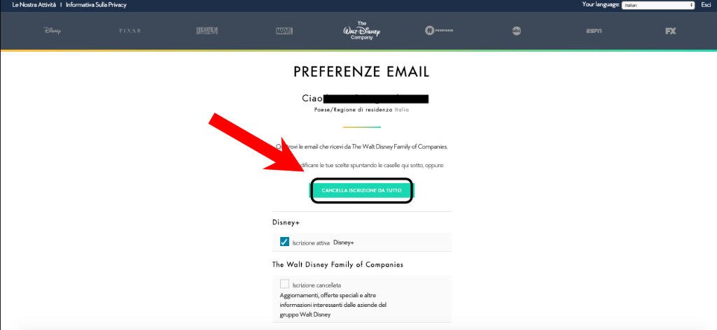 Come eliminare un account Disney Plus 8