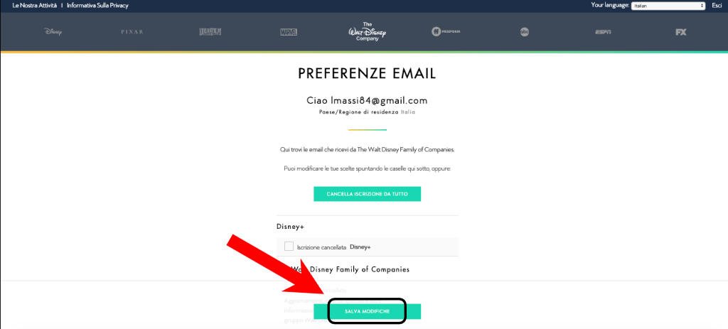 Come eliminare un account Disney Plus 9