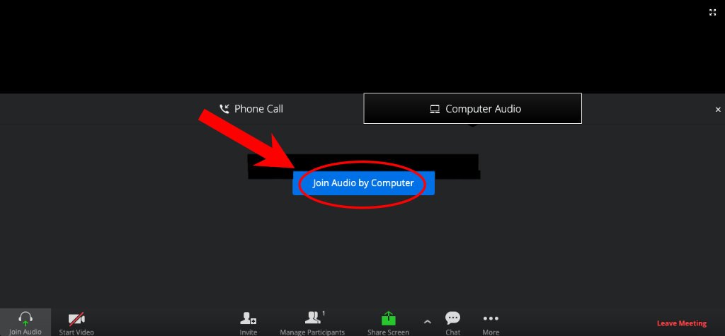 Come tenere una riunione su Zoom senza installarlo 5