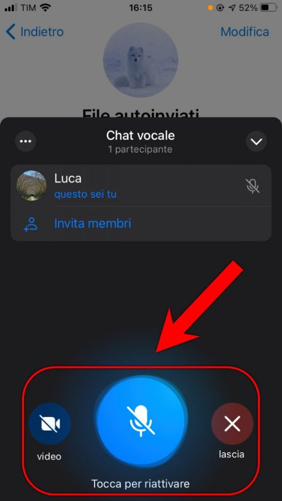 Come condividere lo schermo su Telegram Avvia chat vocale Tocca per riattivare audio e video 2