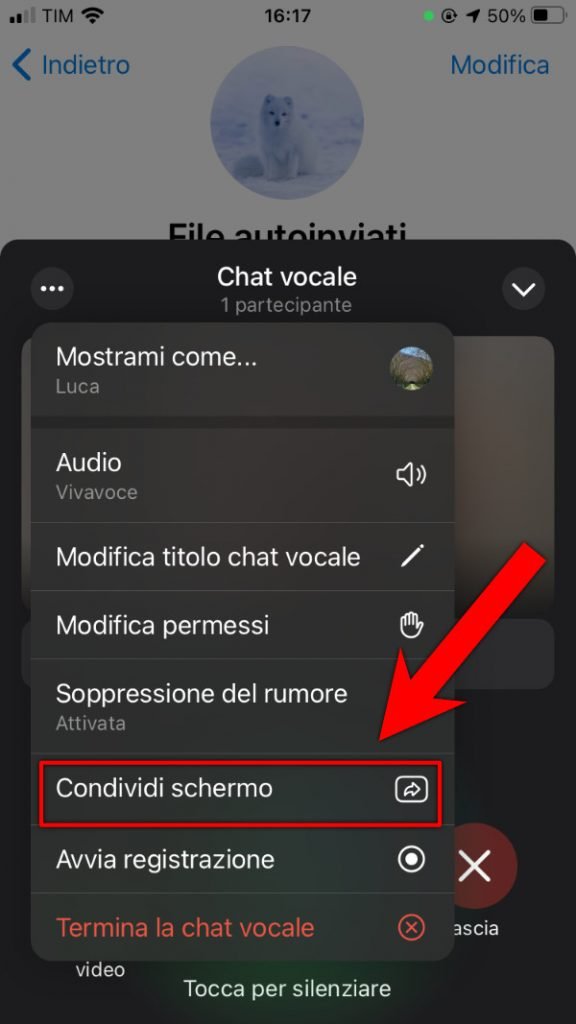 Come condividere lo schermo su Telegram Menu della chat audio e videochat di gruppo Telegram modifica permessi e soppressione del rumore 2